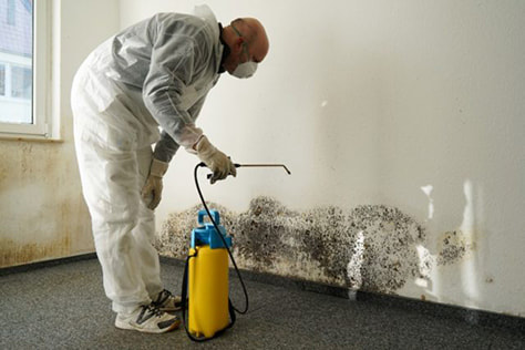 Recommended: Mold Inspection