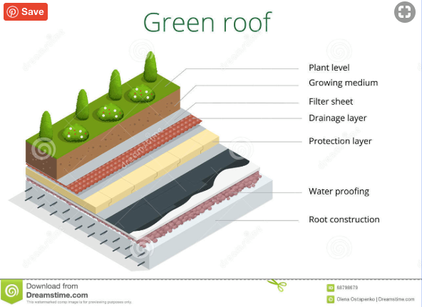 FAQ: What are green roofs?
